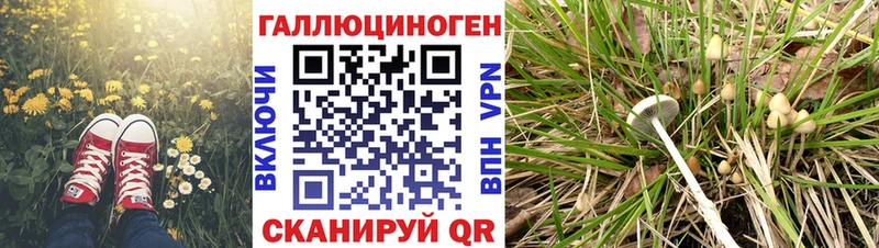 Галлюциногенные грибы MAGIC MUSHROOMS  хочу   mega как зайти  Мариинский Посад 
